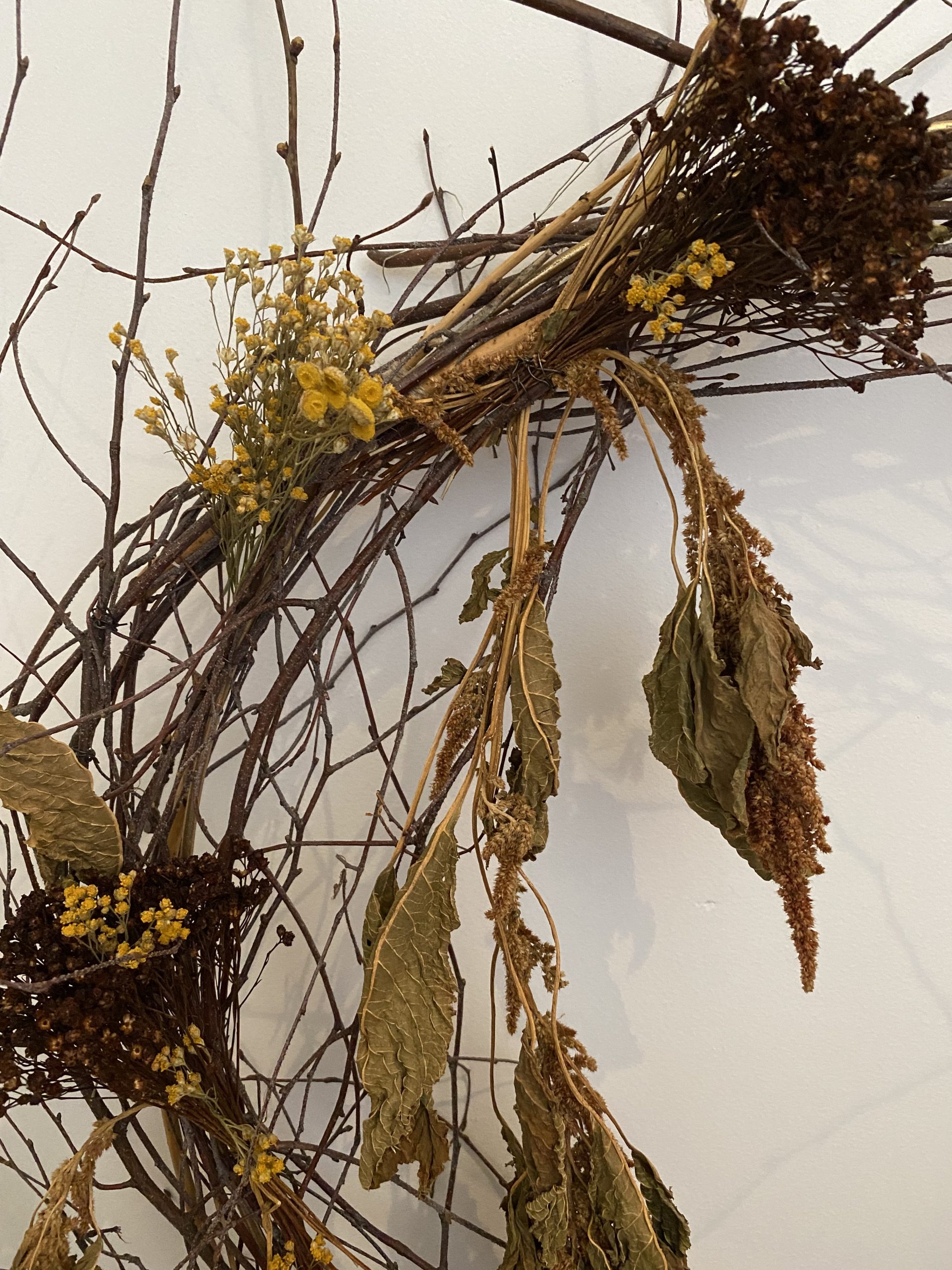 Amaranthus Wreath