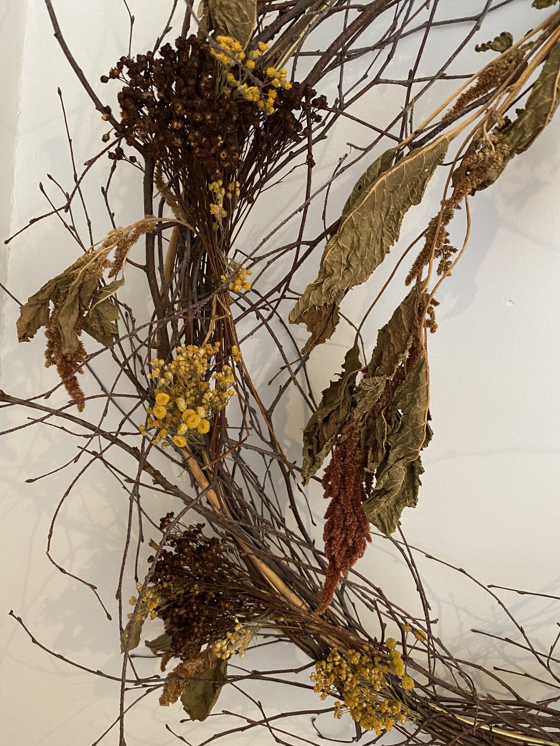 Amaranthus Wreath